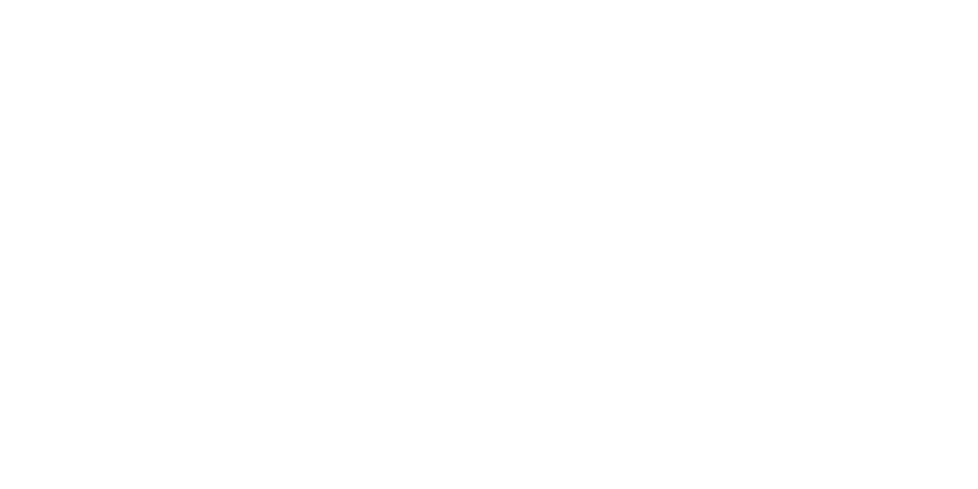 ECRicketGame Logo